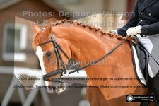 ref. photo 3226312