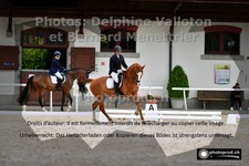 ref. photo 3226315