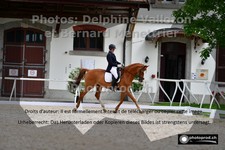 ref. photo 3226328
