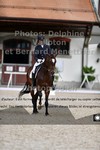ref. photo 3226336