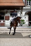 ref. photo 3226344