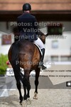 ref. photo 3226349