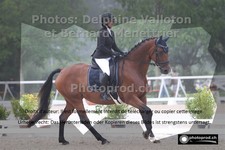 ref. photo 3226371