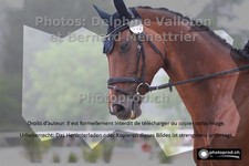 ref. photo 3226372