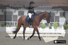 ref. photo 3226376