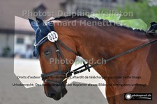 ref. photo 3226407