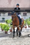 ref. photo 3226410