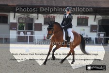 ref. photo 3226425