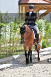 ref. photo 3226446