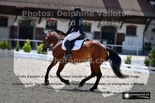 ref. photo 3226470