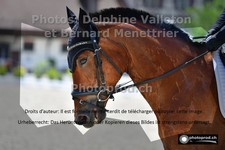 ref. photo 3226472