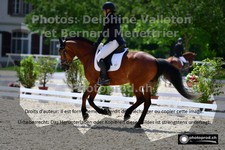ref. photo 3226474