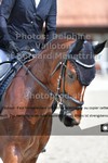 ref. photo 3226523