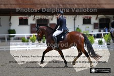 ref. photo 3226540