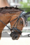 ref. photo 3226576