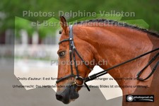 ref. photo 3226618
