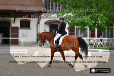 ref. photo 3226637