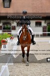 ref. photo 3226640