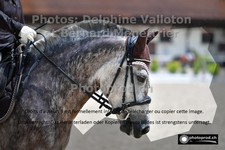 ref. photo 3226680