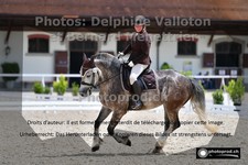 ref. photo 3226700