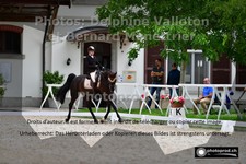 ref. photo 3226747