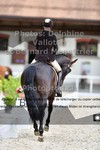 ref. photo 3226754