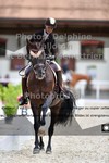 ref. photo 3226771