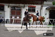 ref. photo 3226774