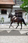 ref. photo 3226779
