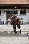 ref. photo 3226782