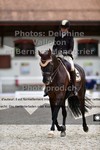 ref. photo 3226784