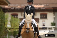 ref. photo 3226800