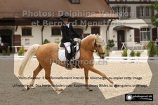 ref. photo 3226811