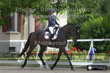 ref. photo 3227040