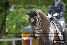 ref. photo 3227042