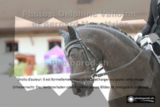 ref. photo 3227066