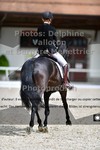 ref. photo 3227086