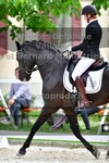 ref. photo 3227118
