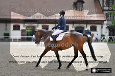 ref. photo 3227140