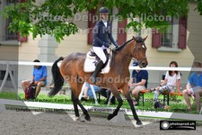 ref. photo 3227162