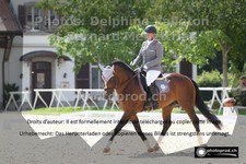 ref. photo 3227172