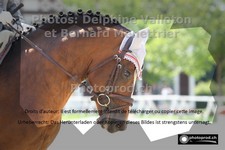 ref. photo 3227174