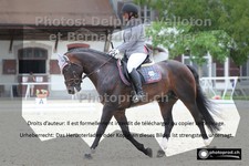 ref. photo 3227194
