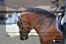 ref. photo 3227234