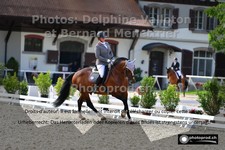 ref. photo 3227251