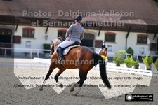 ref. photo 3227253