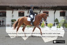 ref. photo 3227275