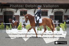 ref. photo 3227276