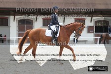 ref. photo 3227282