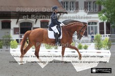 ref. photo 3227283